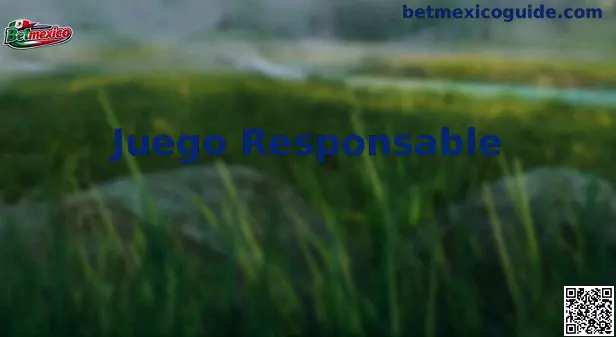 Juego Responsable en México